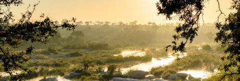The Sabi Sands in all her glory