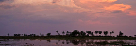 An endless undisturbed wilderness