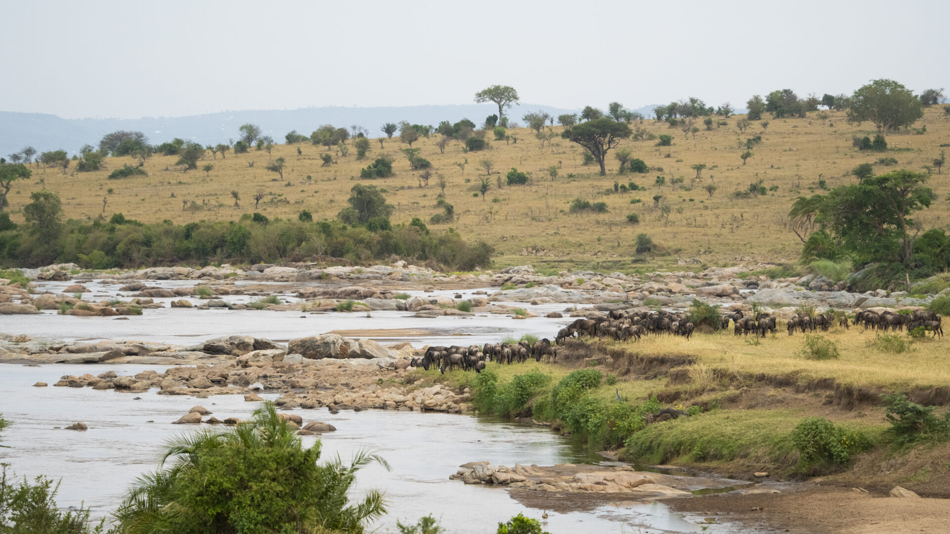 Entara: Tanzania Like You've Never Seen it Before - Blog - Iconic Africa